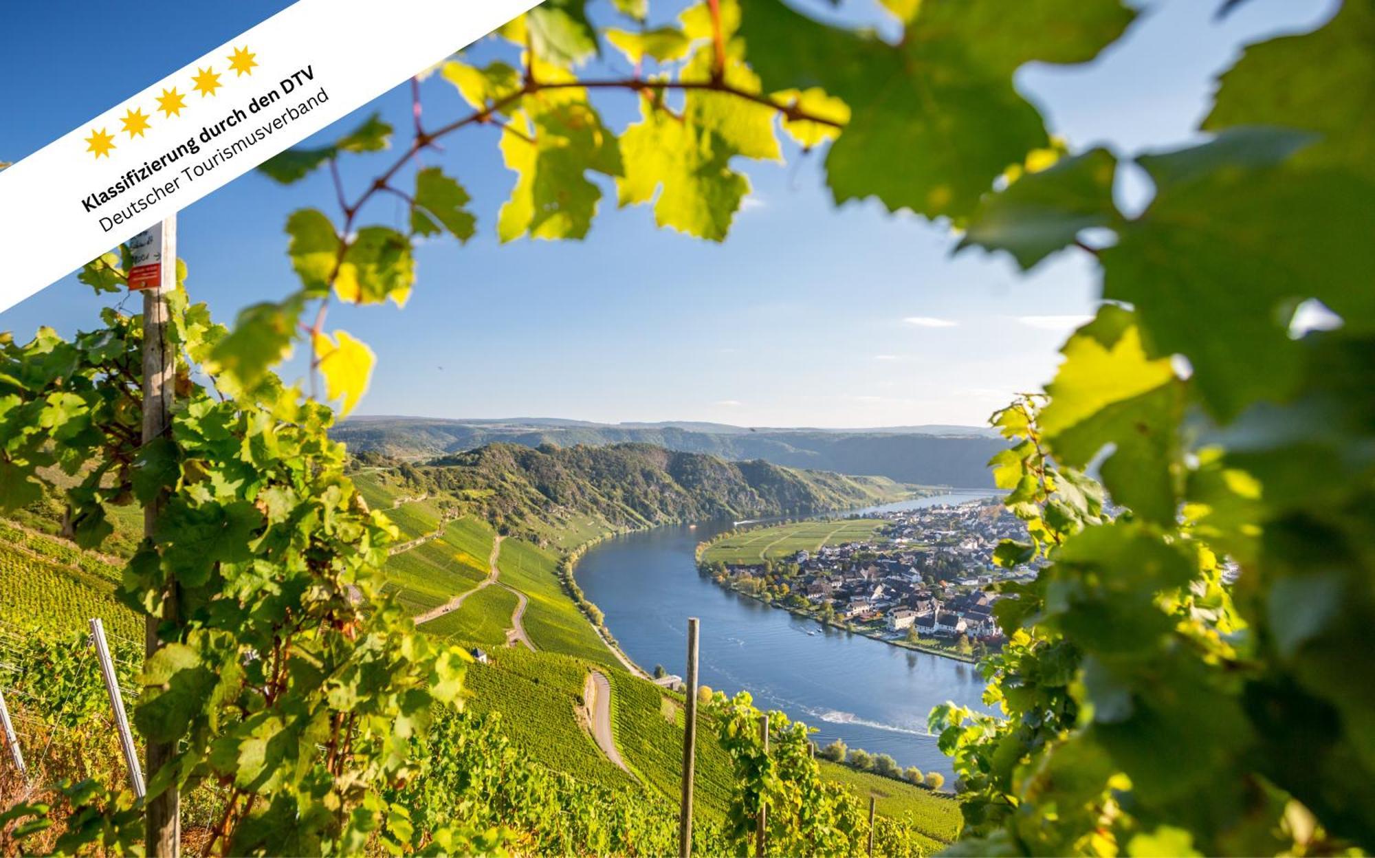 Wohlfuehloase An Der Mosel Apartment Osann-Monzel